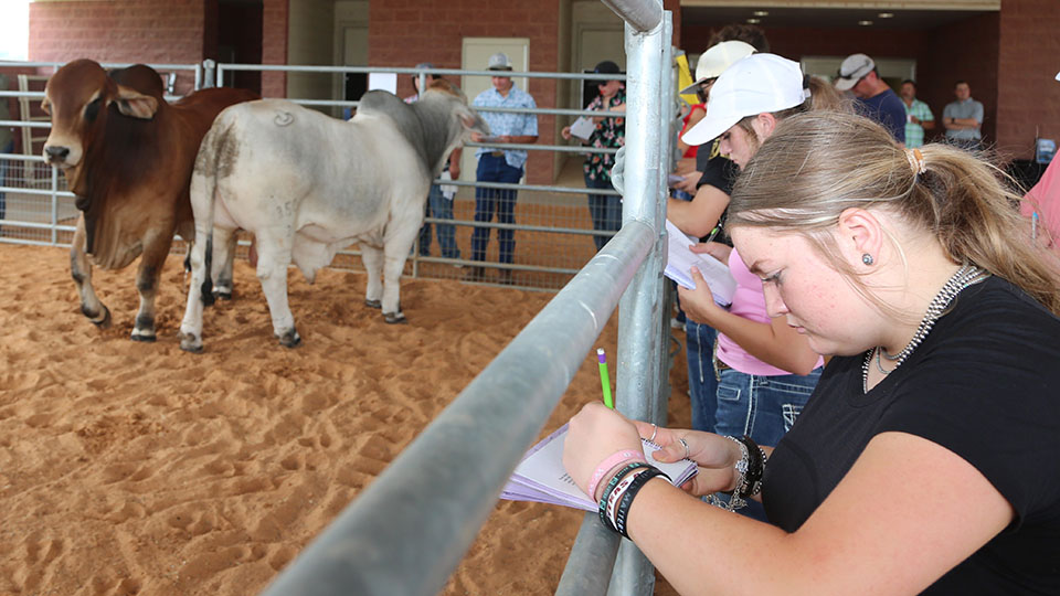 Blinn Agricultural Sciences Program holds ‘mini-camp’ at Rankin Complex